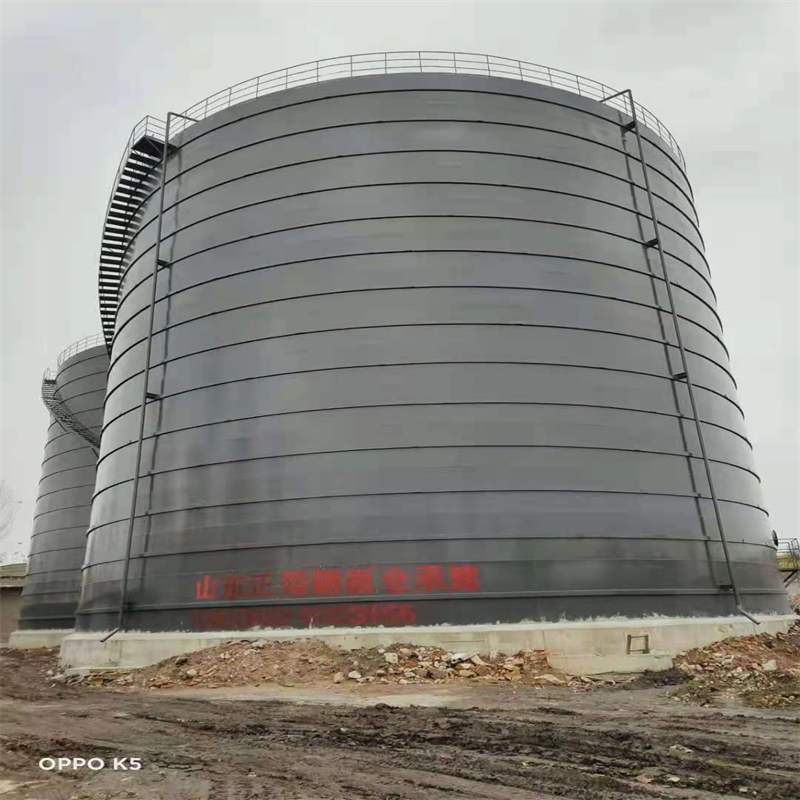 汝南3万吨大型钢板库