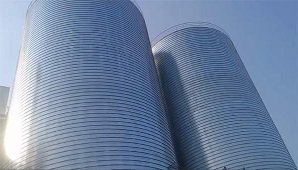 汝南2座混凝土高架卷板仓